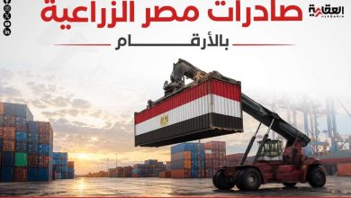 صادرات مصر الزراعية بالأرقام