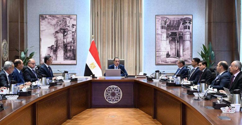 طرح 30 سلعة.. خبر سار من مجلس الوزراء للمواطنين