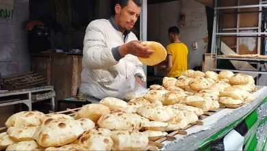 عاجل | التموين تكشف السعر الجديد لـ رغيف الخبز السياحي والفينو.. تفاصيل هامة للمواطنين