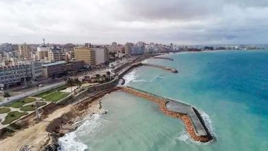 عام 2100.. مصر ترسم خريطة الحماية والنجاة