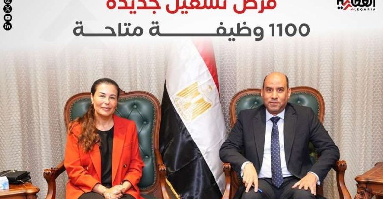 فرص تشغيل جديدة.. 1100 وظيفة متاحة