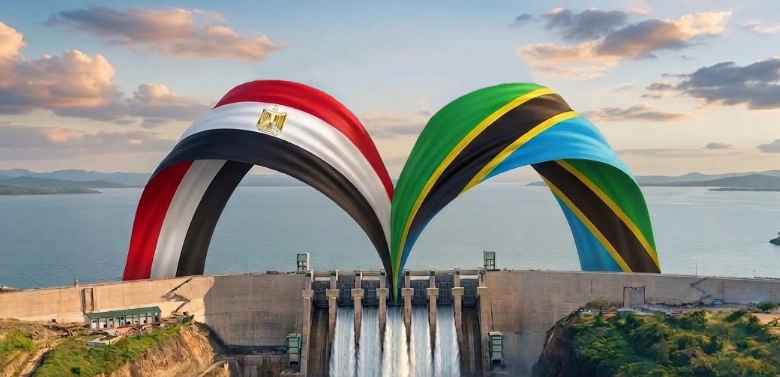 ما أهمية مشاركة مصر في مشروع جوليوس نيريري؟.. خبير يوضح