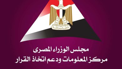 مجلس الوزراء: مصر تحقق تقدمًا في التحول الأخضر.. والطاقة والنقل والمياه تتصدر القطاعات الأكثر نشاطًا