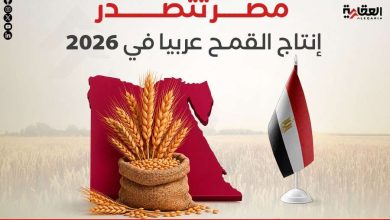 مصر تتصدر إنتاج القمح عربيا في 2026
