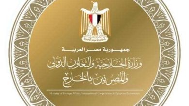 مظلة تأمينية جديدة للمصريين بالخارج.. تعويض يصل إلى 250 ألف جنيه باشتراك 400 جنيه سنويًا