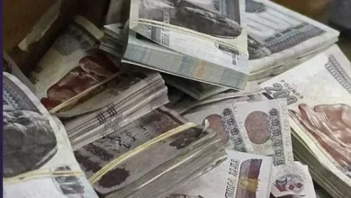 موعد صرف معاشات شهر سبتمبر 2026.. مفاجأة في موعد الصرف وأماكن الحصول عليها