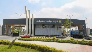 ميناء دمياط يستقبل 12 سفينة خلال 24 ساعة.. وتداول 48.8 ألف طن بضائع