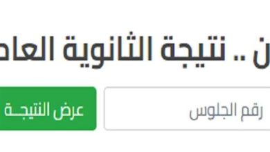 نتيجة الدور الثاني 2026 برقم الجلوس.. الموعد والرابط الرسمي للنتيجة