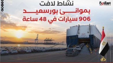 نشاط لافت بموانئ بورسعيد.. 906 سيارات في 48 ساعة
