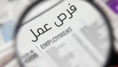 وزارة العمل تعلن 25 فرصة عمل جديدة.. "قدم الآن"