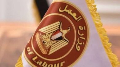وزارة العمل تعلن وظائف جديدة بالقطاع الزراعي.. مرتبات تصل لـ17 ألف جنيه (تفاصيل)