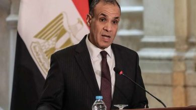 وزير الخارجية: لا يمكن الفصل بين انسحاب إسرائيل من غزة ونزع سلاح حركة حماس