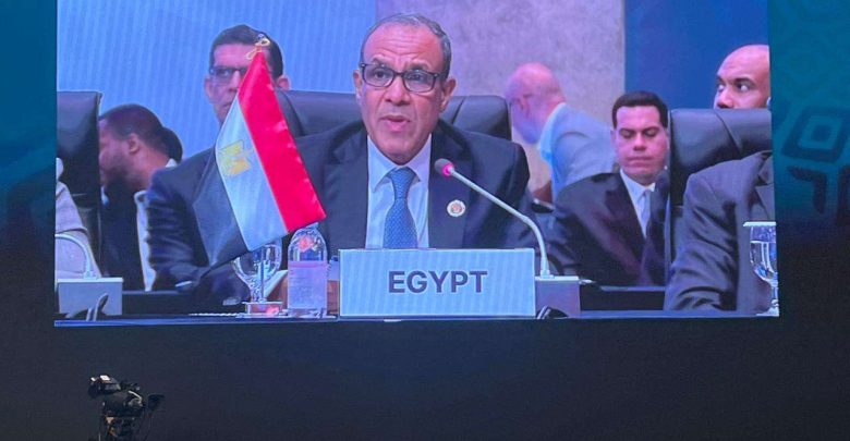 وزير الخارجية يشارك في منتدى الأعمال «المصري – التشادي»