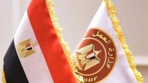 وظائف وزارة العمل 2026.. 2594 فرصة عمل جديدة للشباب في 10 محافظات