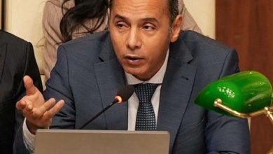 1.8 مليون مستفيدة بـ33.7 مليار جنيه.. «الرقابة المالية» تكشف تطور تمويل المرأة