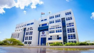 4 تخصصات من جامعة دمنهور على خريطة شنغهاي العالمية