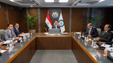 4.6 مليون طن إنتاجًا و1.8 مليار دولار صادرات.. «إيكم» تكشف نتائج 2025/2026