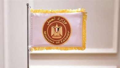أحدث وظائف وزارة العمل 2026 بالجيزة.. 200 فرصة للشباب برواتب مجزية و8 أيام إجازة (رابط مباشر للتقديم)