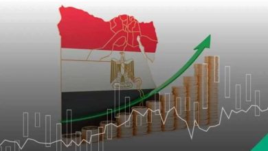أستاذ استثمار: الاقتصاد المصري يشهد حاليًا تنوعًا في مصادر النمو