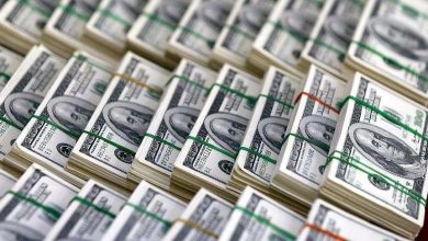 أستاذ اقتصاد: مرونة سعر الصرف ساعدت مصر على امتصاص تداعيات الأزمات الخارجية