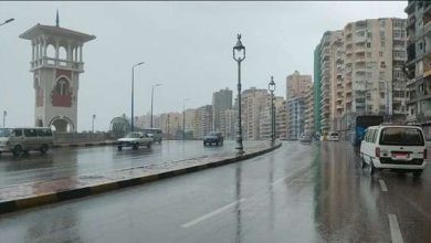 أمطار رعدية بعدد من المناطق.. الأرصاد الجوية تكشف تفاصيل حالة الطقس اليوم الخميس