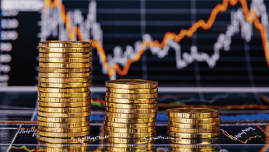 استشاري تنمية واستثمار: 640 مليار دولار من الاستثمارات العالمية المباشرة ذهبت إلى الأسواق الناشئة