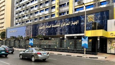 الإحصاء: استثمارات البريكس في مصر تتجاوز 6 مليارات دولار.. والإمارات والسعودية يتصدران