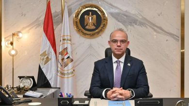 الدكتور محمد فريد صالح: بطاريات الليثيوم ومركبات الطاقة الجديدة رهان مصر لتعميق التصنيع المحلي