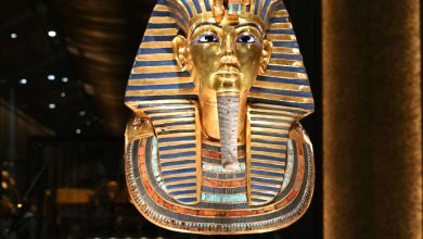 السياحة المصرية تواصل النمو رغم التوترات.. 12.7 مليون سائح و12 مليار دولار إيرادات خلال 8 أشهر