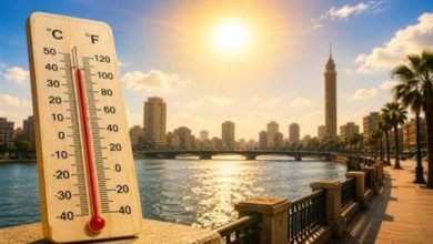 انخفاض تدريجي في درجات الحرارة وشبورة صباحية: تفاصيل طقس 5 أيام قادمة في مصر