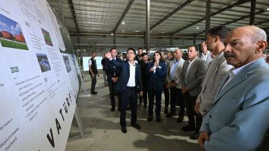 باستثمارات 4 ملايين دولار.. رئيس الوزراء يفتتح مصنعا لإنتاج النجيل بالمنطقة الاقتصادية لقناة السويس