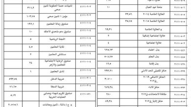 تحليل مفردات مرتب درجة مدير عام يكشف أين يذهب الراتب؟