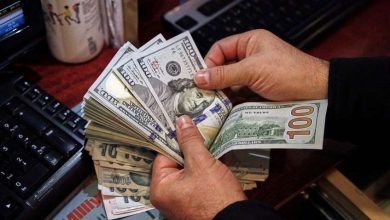 تحويلات المصريين العاملين بالخارج تسجل مستويات قياسية خلال عام 2025/2026