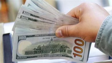 تحويلات المصريين بالخارج تقفز 28.1% إلى 29.7 مليار دولار خلال 7 أشهر