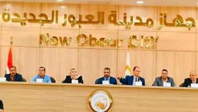 تخصيص 18 فرصة استثمارية تجارية وإدارية ومهنية بمزاد علني بمدينتي العبور الجديدة وبورسعيد الجديدة «سلام»