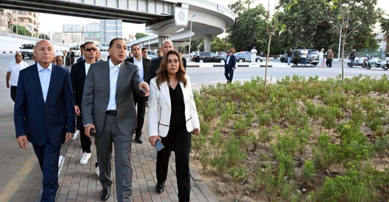 تخضير القاهرة الكبرى.. خطة حكومية للتوسع في التشجير وتحويل المساحات غير المستغلة إلى متنفسات خضراء