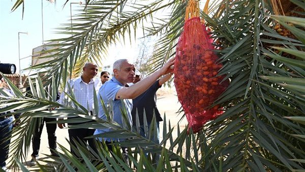 جامعة أسيوط تكشف خطة جديدة لتطوير المزارع وزيادة الإنتاج الزراعي