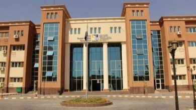 جامعة القاهرة التكنولوجية تطلق برنامجًا دوليًا للميكاترونكس بشراكة إيطالية