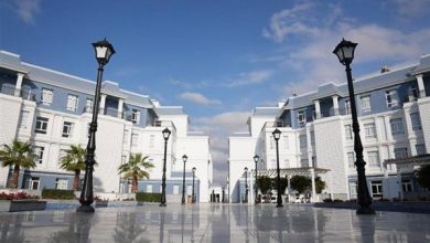جامعة سيناء تعلن حاجتها إلى أعضاء هيئة التدريس في 4 تخصصات.. وظيفة جامعة