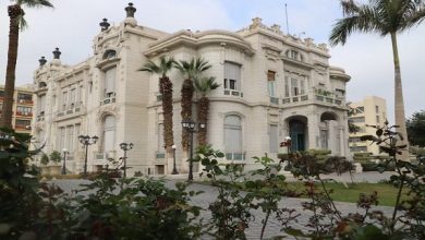 جامعة عين شمس تحصد مراكز متقدمة في تصنيف شنغهاي للتخصصات 2026