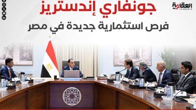 جونفاري إندستريز.. فرص استثمارية جديدة في مصر