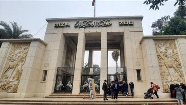 حديقة حيوان الجيزة تستعد لمرحلة جديدة.. تفاصيل التطوير وعودة الزوار