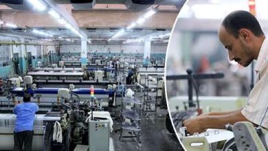 خبير اقتصادي: القطاع الصناعي يضم أكثر من 3.5 مليون عامل ويساهم بنحو 14% في الناتج المحلي