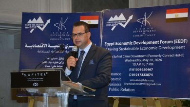 خبير اقتصادي لـ«العقارية»: الاستثمارات الصينية في مصر تتوسع بقطاعات الطاقة وتكنولوجيا المعلومات