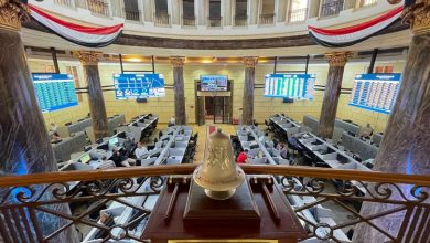 خبير اقتصادي يضع روشتة للمستثمرين الجدد لاقتناص الفرص في البورصة المصرية