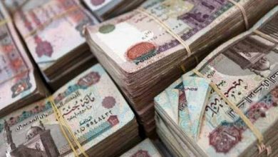 خطوات الاستعلام عن مفردات المرتب إلكترونيًا عبر بوابة الموظف