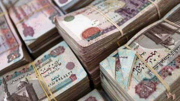 خطوات الاستعلام عن مفردات المرتب إلكترونيًا عبر بوابة الموظف