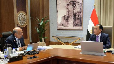 رئيس الوزراء يُتابع المشروعات والخطط الحالية والمستقبلية في قطاع الطاقة الجديدة والمتجددة