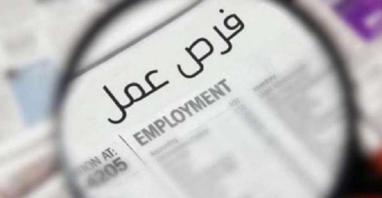 رواتب تصل لـ15 ألف جنيه.. وزارة العمل تعلن عن فرص عمل جديدة للشباب في 4 محافظات