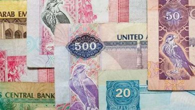 سعر الدرهم الإماراتي أمام الجنيه المصري اليوم الثلاثاء 1 سبتمبر 2026